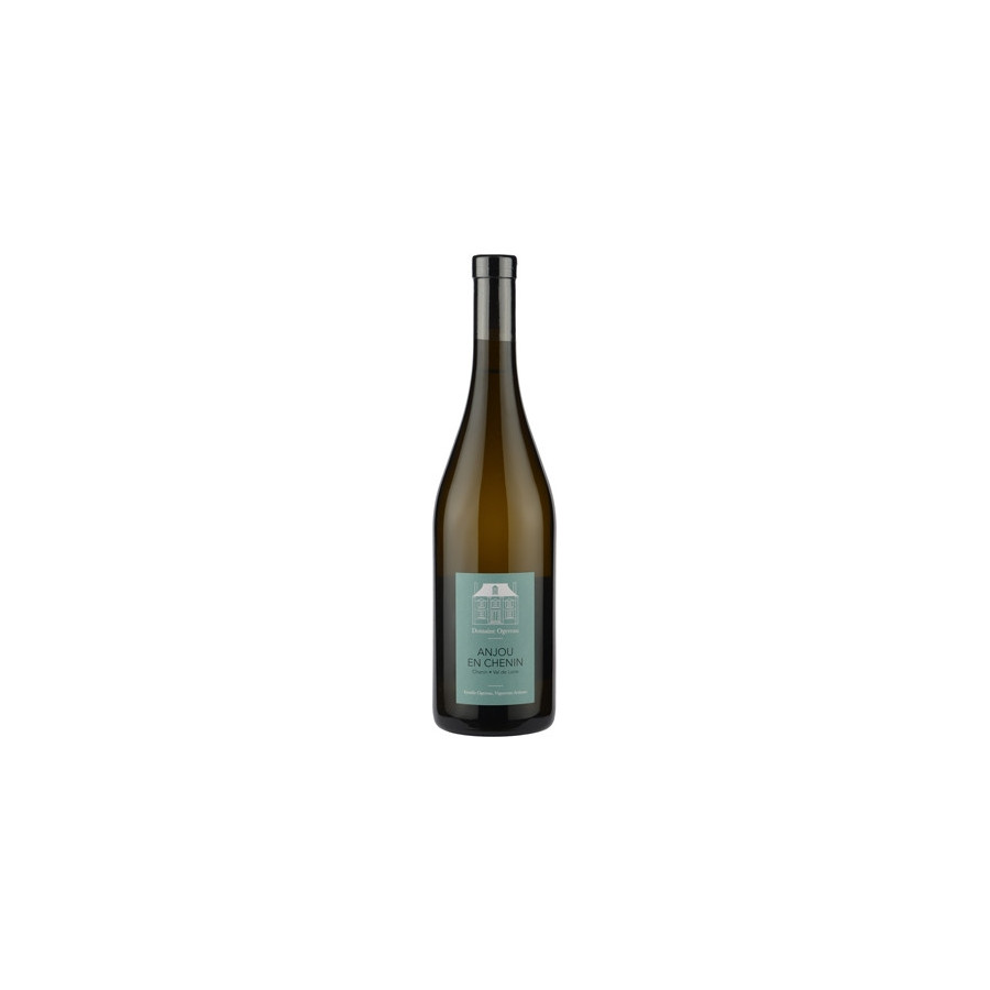 DOMAINE OGEREAU EN CHENIN DOMAINE OGEREAU EN CHENIN