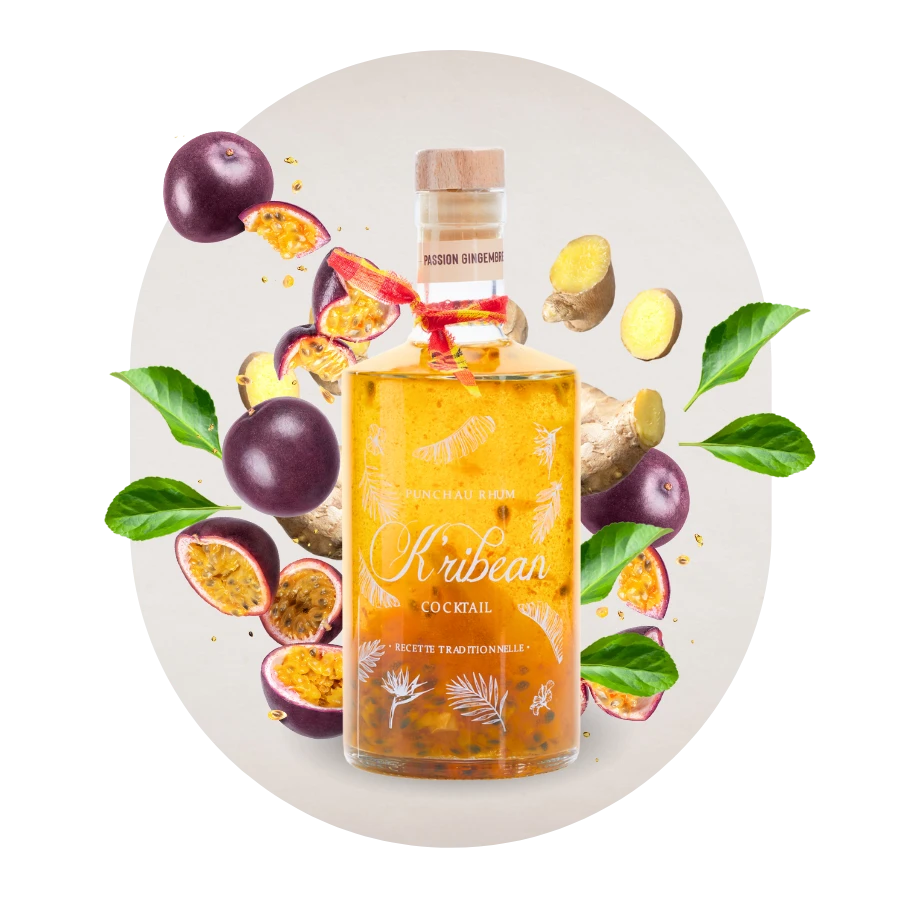 PUNCH PASSION GINGEMBRE PUNCH PASSION GINGEMBRE