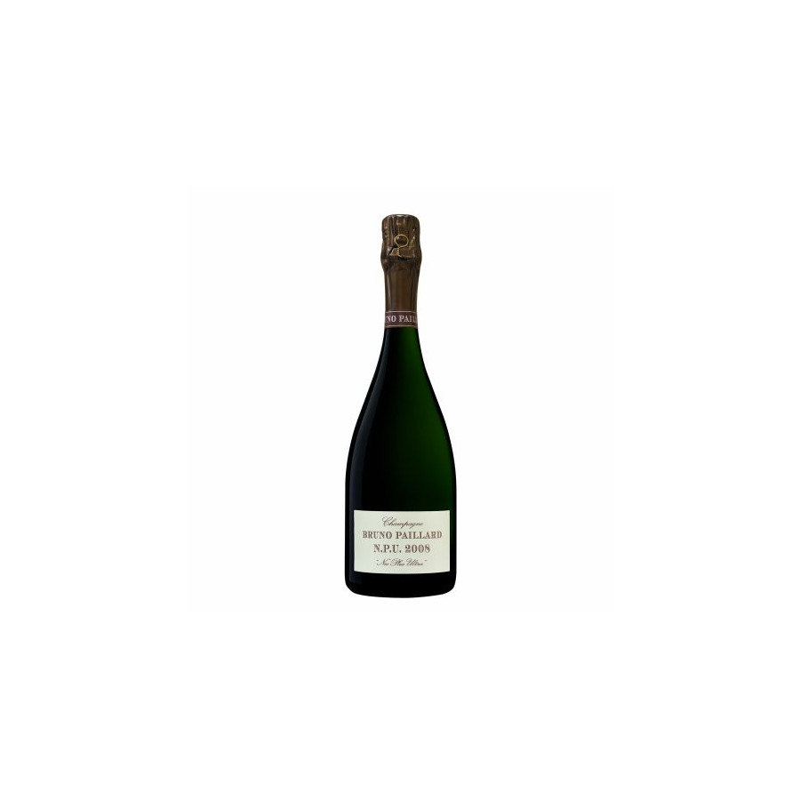 BRUNO PAILLARD NPU BRUNO PAILLARD NPU