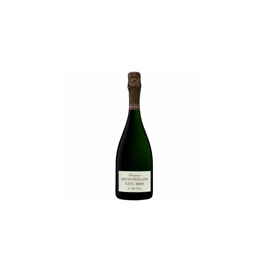 BRUNO PAILLARD NPU BRUNO PAILLARD NPU