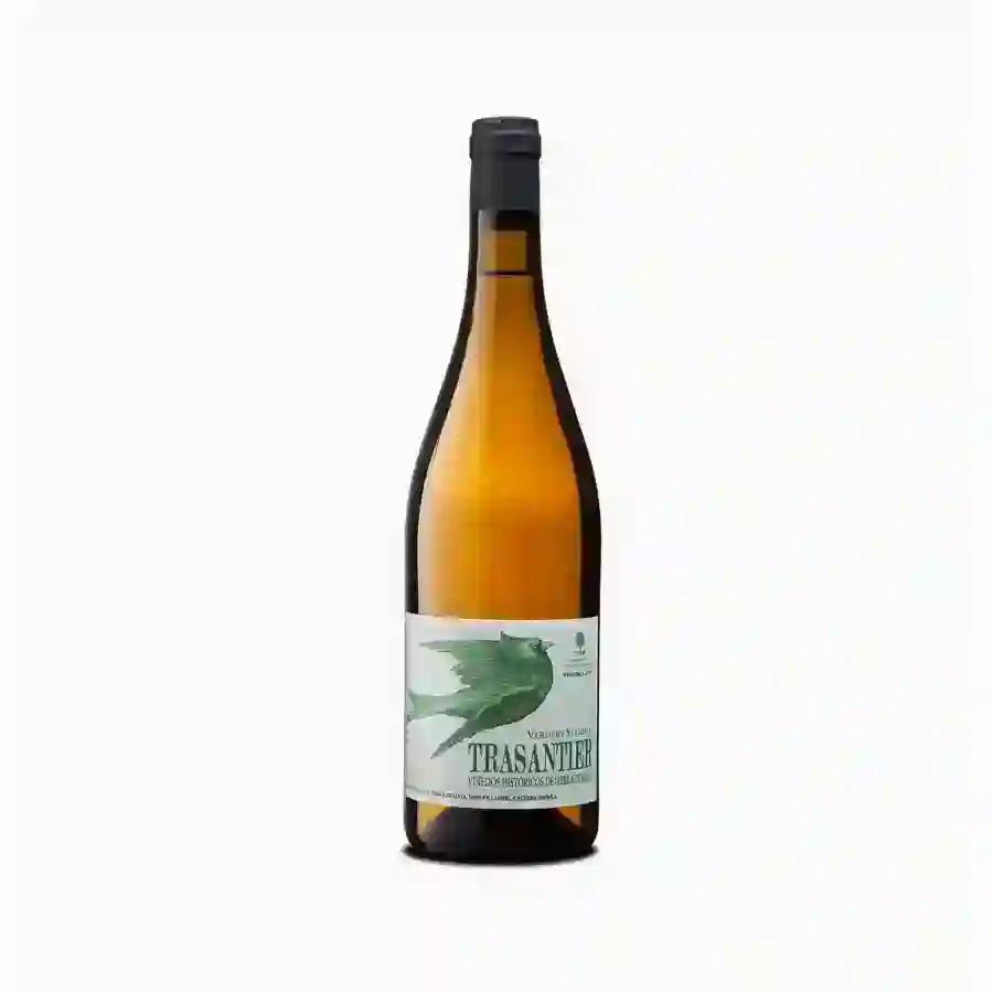 RECUERO MARTINEZ TRASANTIER VERDEJO