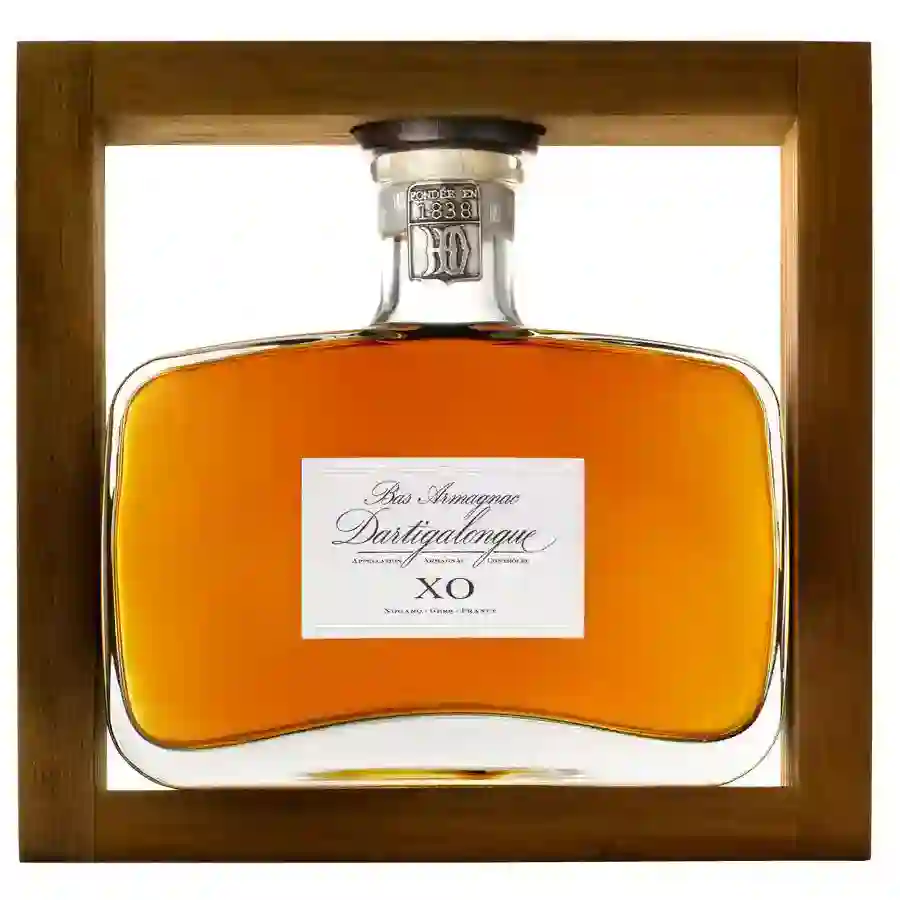 BAS ARMAGNAC DARTIGALONGUE YOGI