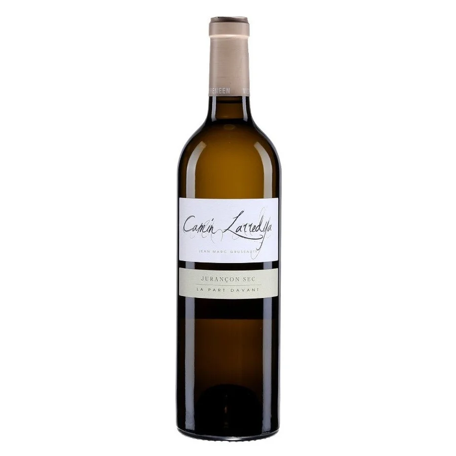 CAMIN LARREDYA "PART DAVAN"