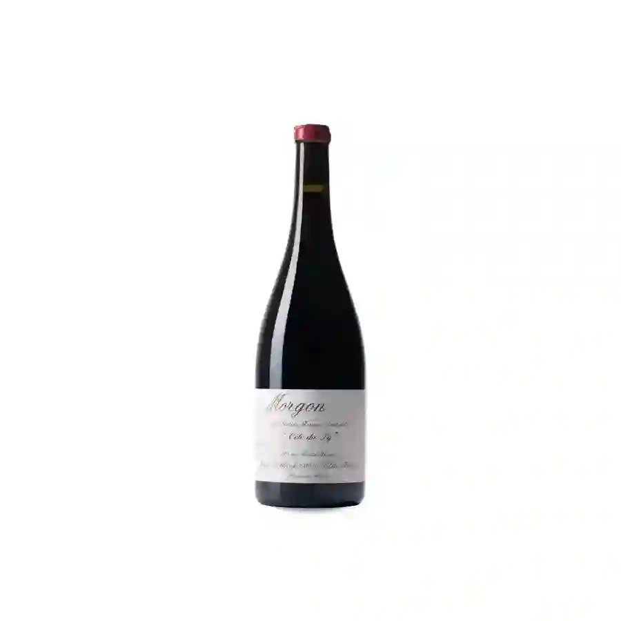 JEAN FOILLARD COTE DE PY