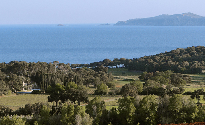 DOMAINES OTT