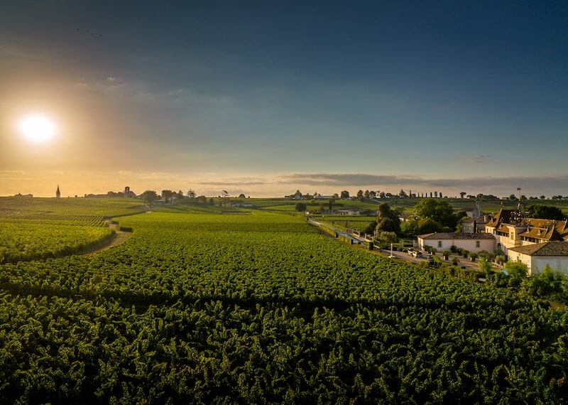 CHÂTEAU ANGELUS