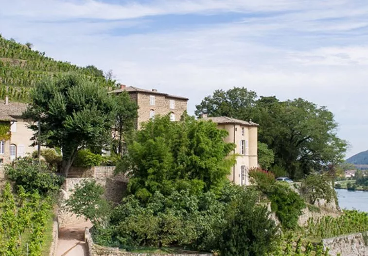 CHATEAU GRILLET