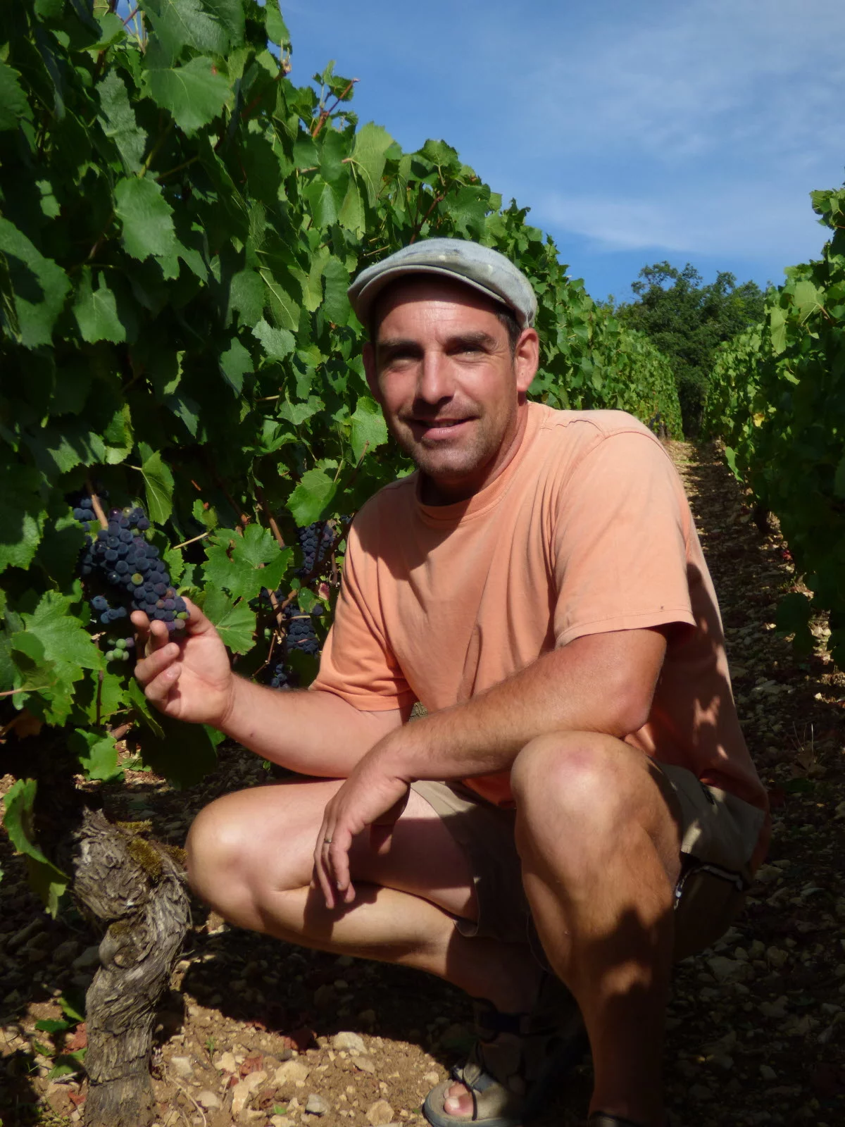 DOMAINE FRANCOIS CHAPUIS