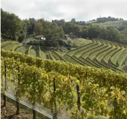 DOMAINE DAGUENEAU