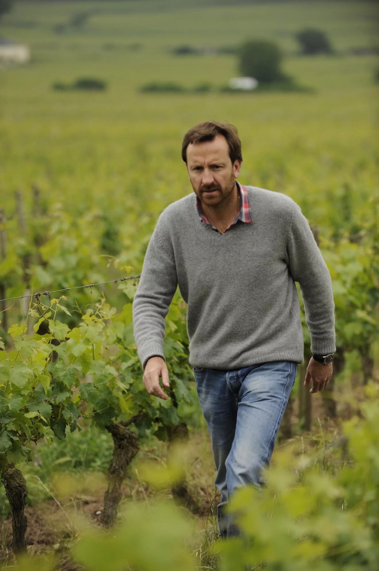 DOMAINE DES ROCHES NEUVES
