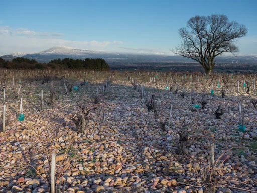 VIGNOBLES BRUNIER