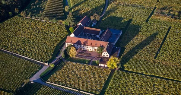DOMAINE WEINBACH COLETTE FALLER ET SES FILLES