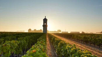 CHÂTEAU HAUT-BATAILLEY