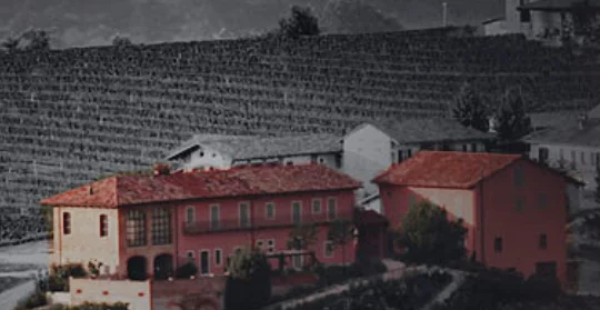 PRUNOTTO