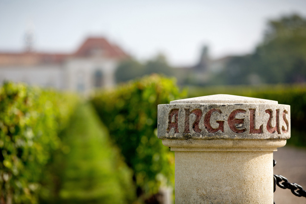 Le temps des vendanges au Château Angelus