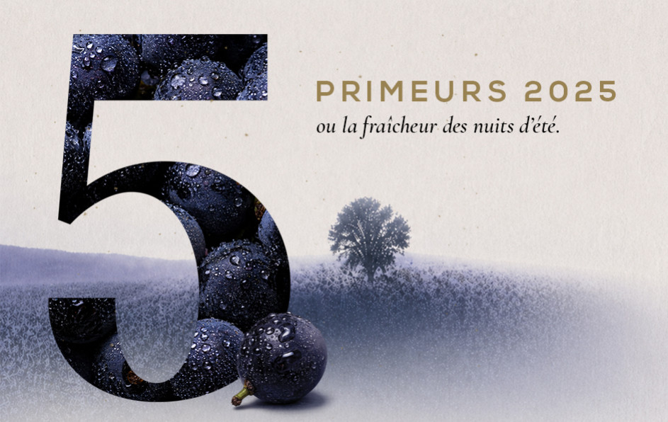 Primeurs 2025 : le millésime