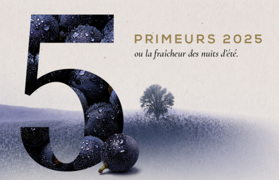 Primeurs 2025 : le millésime