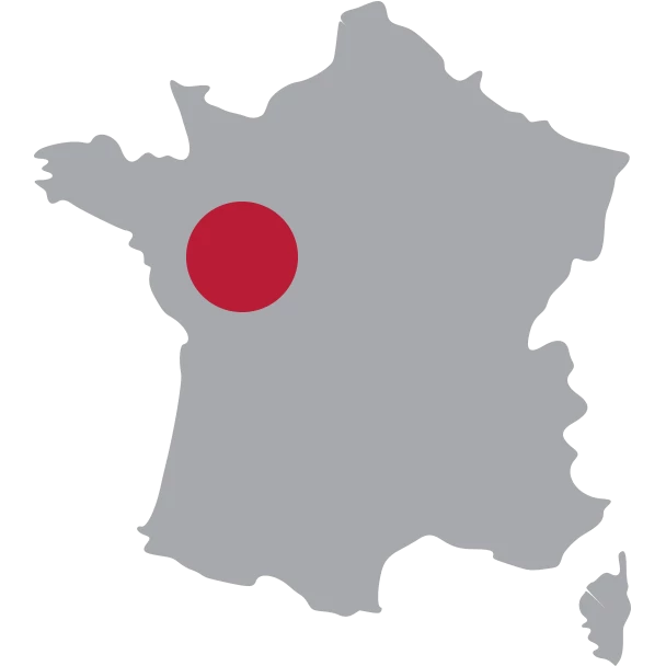 Saumur-Champigny