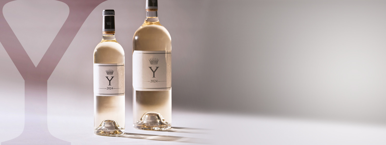 Y Yquem 2024