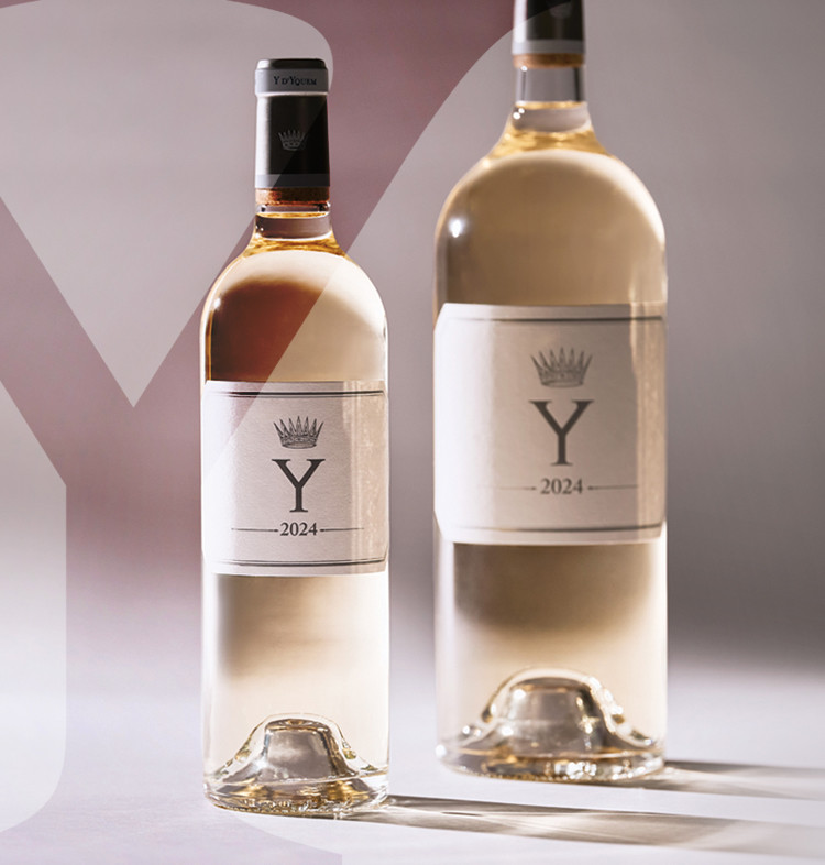 Y Yquem 2024